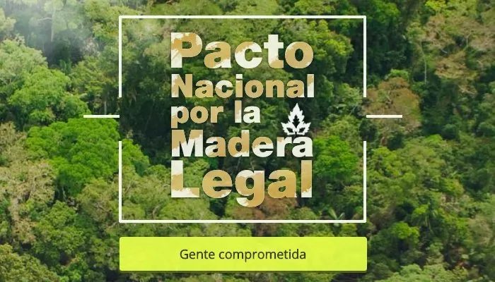 Maderacre noticias