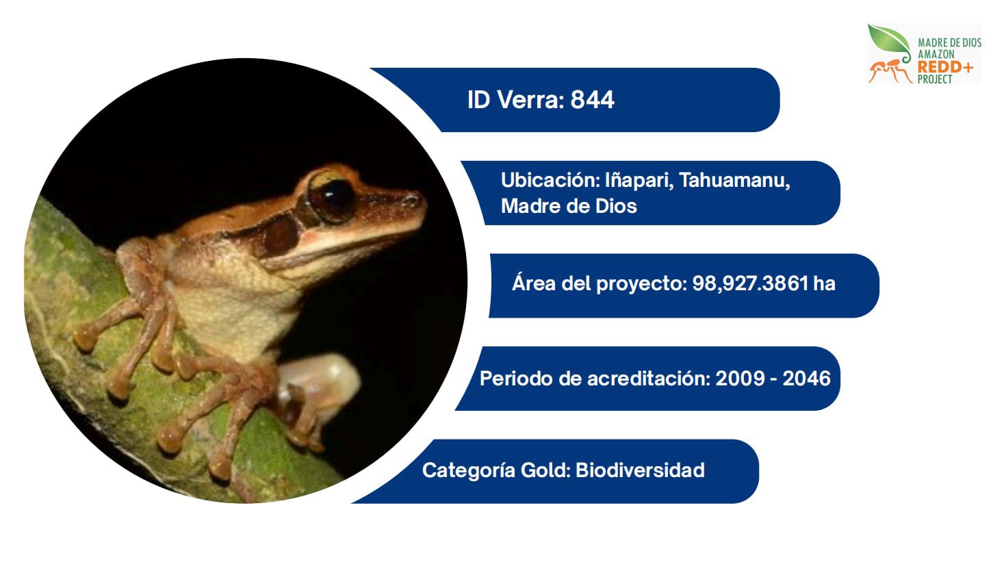 verra