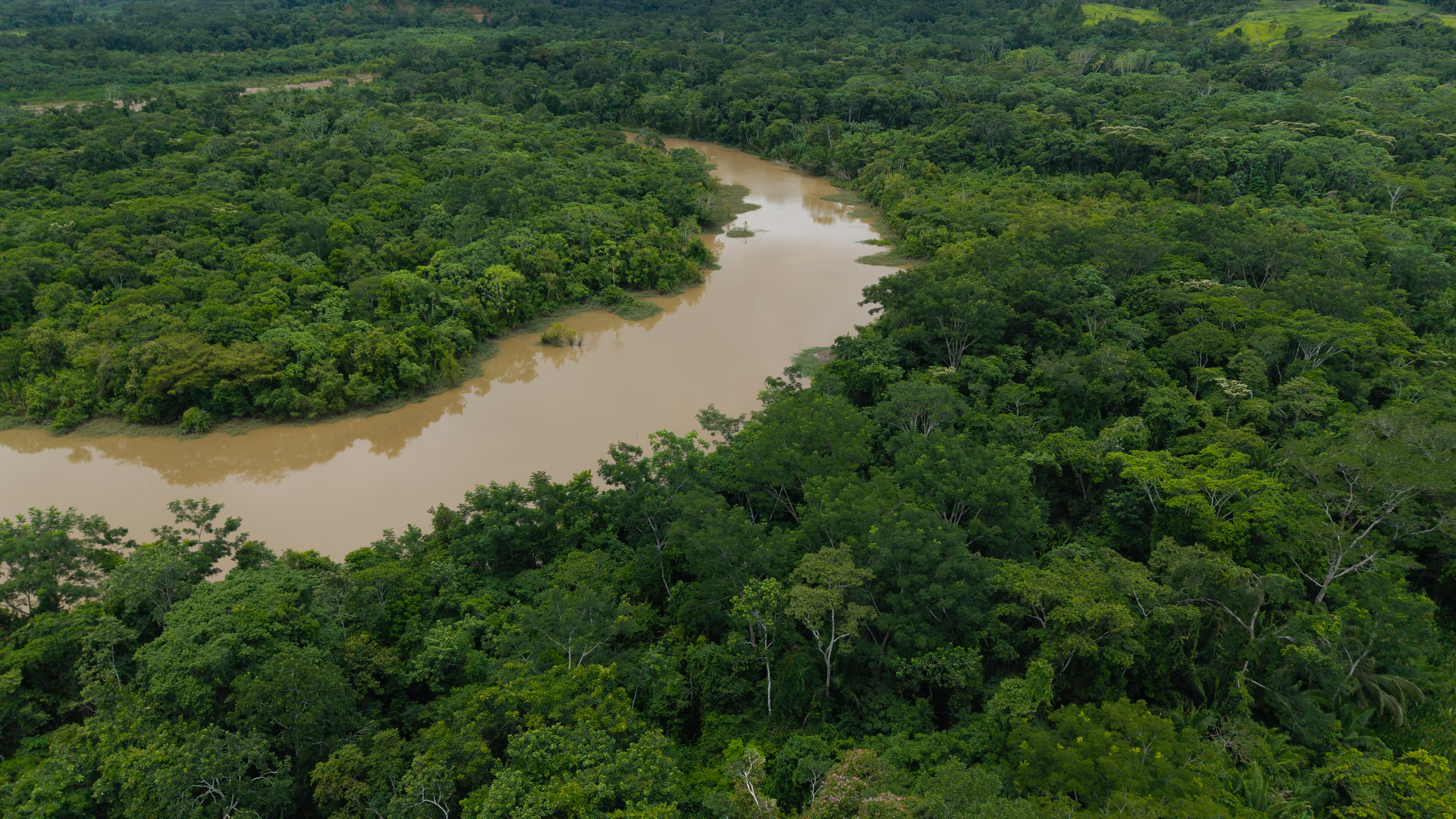 Monitoreo forestal y proyectos de conservación ambiental de Maderacre en Tahuamanu